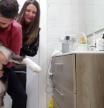Dos hermanos se encierran con su perro en el baño con la música a tope para que no sufra con los petardos