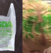 Usa una bolsa de supermercado para teñirse el pelo y termina con el logo verde en su cabeza