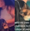 Una joven cuela a su perro en una discoteca dentro del bolso y recibe infinidad de críticas en redes