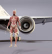 La impactante simulación de qué le ocurriría a un cuerpo humano si cayera dentro del motor de un avión