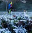 La Aemet avisa de un bajonazo térmico con heladas y nieve en estas zonas de España