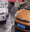 Esto es lo que se sabe del misterioso vídeo viral de la lluvia de gusanos que cubrió las calles en China
