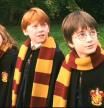 Emma Watson, Rupert Grint y Daniel Radcliffe, un buen reparto.