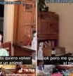 Una niña llora porque no quiere comer animales y el mensaje de apoyo de sus padres se vuelve viral