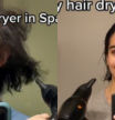 Compara cómo es un secador de pelo en España con otro en EE.UU.: "La leyenda dice que aún sigue intentando secarse el pelo..."