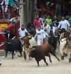 Jandilla fighting bulls enter the bullring after the seventh bullrun of the San Fermin festival in Pamplona, northern Spain on July 13, 2018.
Each day at 8am hundreds of people race with six bulls, charging along a winding, 848.6-metre (more than half a mile) course through narrow streets to the city's bull ring, where the animals are killed in a bullfight or corrida, during this festival dating back to medieval times and also featuring religious processions, folk dancing, concerts and round-the-clock drinking.  


 / AFP PHOTO / JOSE JORDAN