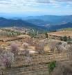 Priorat
