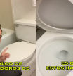 Un argentino explica la extraña razón que hay detrás del uso de los inodoros en Estados Unidos