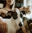 Cuidar un perro o gato mejora el bienestar emocional y físico de las personas