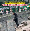 Un zoo de China, obligado a negar que un oso es un humano disfrazado