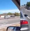 Pánico en la autovía: vuelca un camión cargado de toros y varias reses se pasean entre los coches