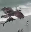 Las teorías sobre qué se llevó volando este águila en Florida: ¿Un tiburón, un delfín o un carángido?