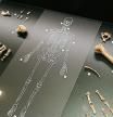 Diverses restes neandertals identificades anys a la Cova Simanya de Sant Llorenç Savall al Museu d’Arqueologia de Catalunya
