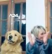 La tierna reacción de un golden retriever a la fiesta de cumpleaños que le hace su familia
