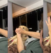Le hace un truco de magia a un golden retriever y él no se lo cree: 