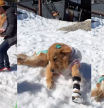 La felicidad de una golden retriever paralítica al jugar con la nieve: 