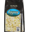 Brotes germinados de la marca Tugas
