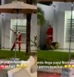 Se viste de Papá Noel para sorprender a su familia pero los perros le atacan