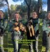 Los cachorros serán acogidos con una edad aproximada de 2 meses