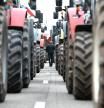 A farmer takes part in a protest called by local branches of major farmer unions FNSEA and Jeunes Agriculteurs, blocking the A35 highway with tractors near Strasbourg, eastern France, on January 30, 2024, amid nationwide protests called by several farmers unions on pay, tax and regulations. (Photo by Frederick FLORIN / AFP)