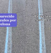 Este es el motivo de las líneas azules que han aparecido en las calles de Barcelona