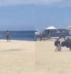 Aparece un toro en una playa y embiste brutalmente a una mujer