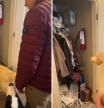 La emotiva reacción de un golden retriever al meterse y salir de un armario: 