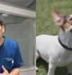 El veterinario ha desvelado la realidad detrás de este gesto.
