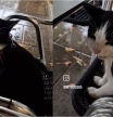 Un gato de Barcelona desafía a la lluvia con sus maullidos y desata las risas: “La conversación”