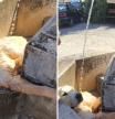 Un golden retriever se niega a salir de una fuente y la gente alucina con el dueño: 