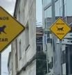 Santiago de Compostela instala señales de prioridad de paso a los gatos y las redes alucinan: “El resto del mundo debería tomar nota”
