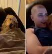 La emotiva escena en la que un golden retriever le muestra su cariño a su amigo: 