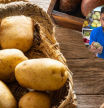 Un frutero revela el error que cometemos al tirar las patatas que están así: “Una pieza fresca no tiene raíces, pero tened más cuidado cuando se os pongan verdes”