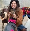 Anna Clements, directora de SOS Galgos: “Cada año necesitamos 250.000 euros para cubrir todos los gastos de la asociación”