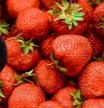 El curioso truco de la nutricionista Júlia Farré para endulzar las fresas sin necesidad de azúcar ni edulcorantes: “De primeras, si no lo conoces, te va a parecer muy raro, pero funciona y te va a gustar”