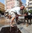 La segunda ola de calor del verano se cobra, en Badajoz, su primera víctima