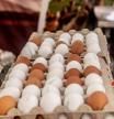 El precio de los huevos sube un 18% en septiembre mientras el del aceite baja un 35%