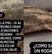 Cómo distinguir un rodaballo salvaje según un pescadero: “Si al tocarlo percibes unas ligeras elevaciones redondeadas, como si fueran motas, entonces es un rodaballo salvaje”