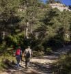 BOSQUES DE LA COMARCA DEL BERGUEDA DONDE POCA GENTE SE ATREVE A BUSCAR SETAS POR LAS ALTAS TEMPERATURAS Y LA FALTE DE AGUA EN LOS BOSQUES, A PESAR DE SER EL MES DE SEPTIEMBRE. UNA PAREJA BUSCANDO SETAS JUNTO AL CAMINO DE UN BOSQUE DE LA COMARCA
