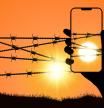 A powerful silhouette of a hand holds a smartphone up to a barbed wire fence against a dramatic sunset. The phone's screen, transparently showing the world beyond the barrier, symbolizes technology as a window to freedom and a tool for communication against oppression. This evocative image is ideal for illustrating themes of human rights, the plight of refugees and political prisoners, and the fight for liberation. The glowing sun represents hope and the dawn of a new beginning, highlighting the struggle for connection and breaking through adversity in a world of conflict and confinement.