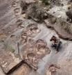 El mayor hallazgo de huellas de dinosaurios del mundo