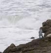SUANCES (CANTABRIA), 09/12/2025.- Una mujer observa el oleaje este martes en la localidad cántabra de Suances. Cantabria se encuentra en alerta amarilla por temporal marítimo. EFE/Pedro Puente Hoyos