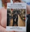 Recuperado Boro, el perro de la superviviente del accidente de trenes en Adamuz