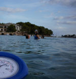 El Mediterráneo se parece cada vez más al Caribe: la fauna, la flora y las especies ya están cambiando