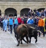 Fallece un hombre por una cornada durante la capea nocturna del Carnaval de Ciudad Rodrigo
