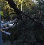 Barcelona activa la alerta por viento y cierra los parques públicos