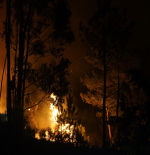 Anticiparse al fuego: así funciona el nuevo simulador que predice incendios casi en tiempo real