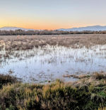 El Govern aprueba la expropiación del Estany de Vilaüt para su conservación