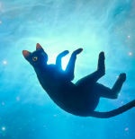 Animac, 30 años apostando por el mejor cine de animación