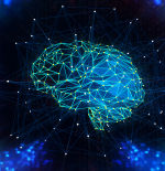 ¿Nueva herramienta para ensayar fármacos dirigidos al cerebro?